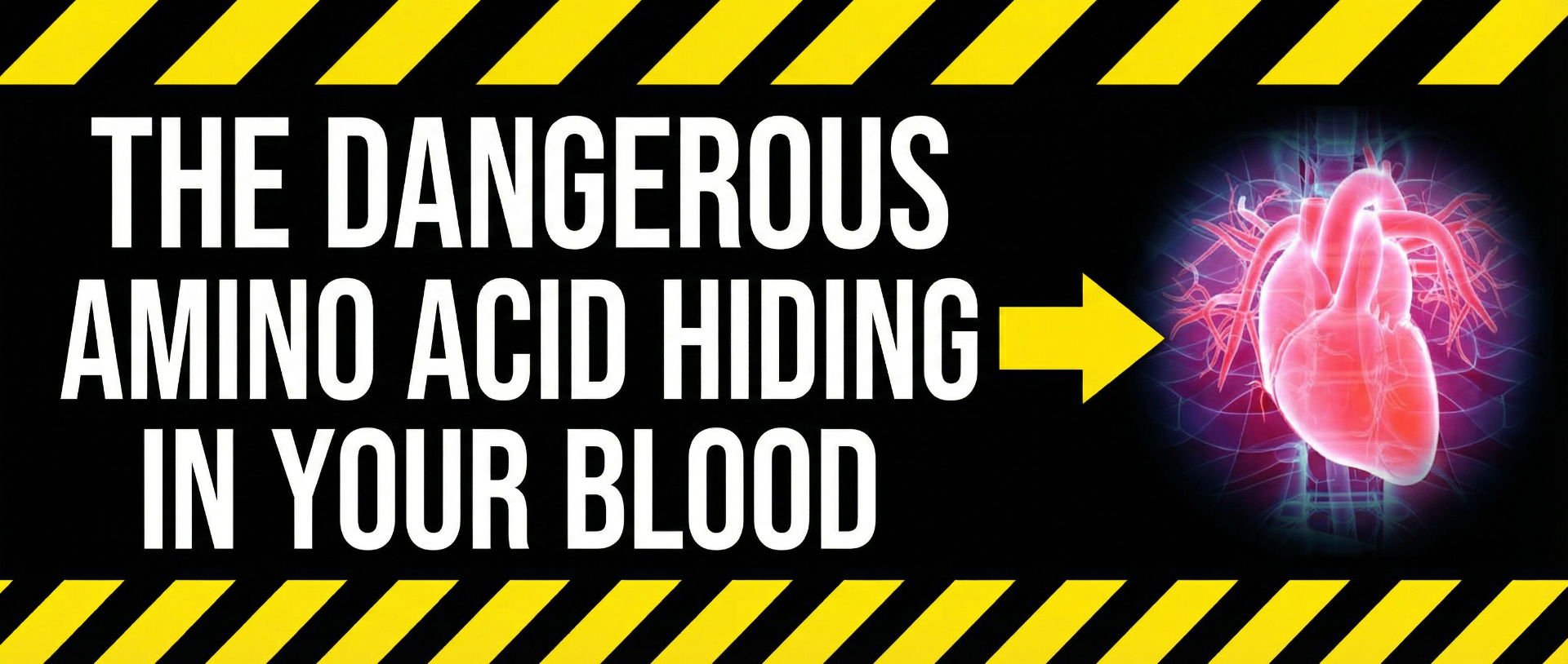 The dangerous amino acid hiding in your blood